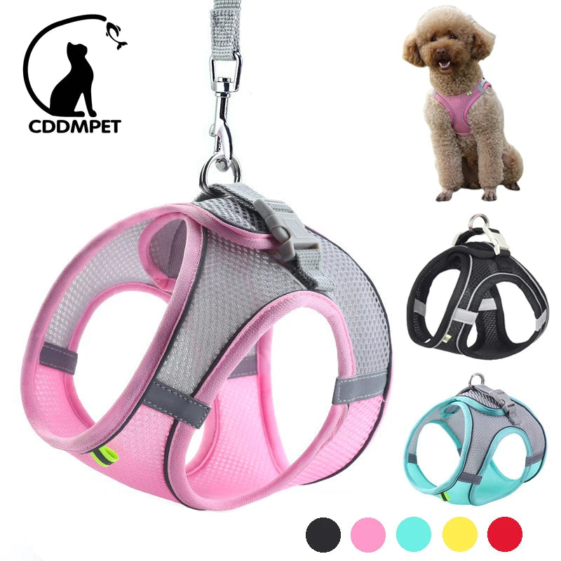 Set for Small Dogs Adjustable